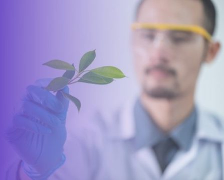 safety-enviromental-considerations-silicones
